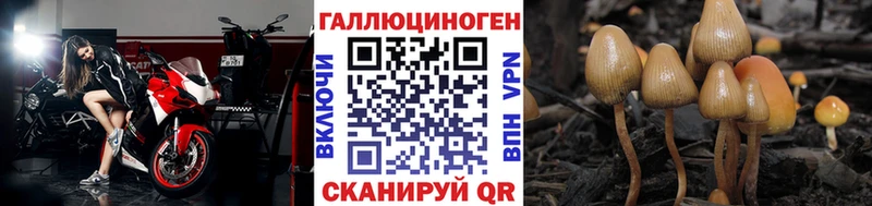 Псилоцибиновые грибы MAGIC MUSHROOMS  Уяр 